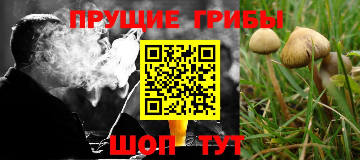 Псилоцибиновые грибы ЛСД  Вход с VPN  Конаково  Псилоцибиновые грибы мухоморы 