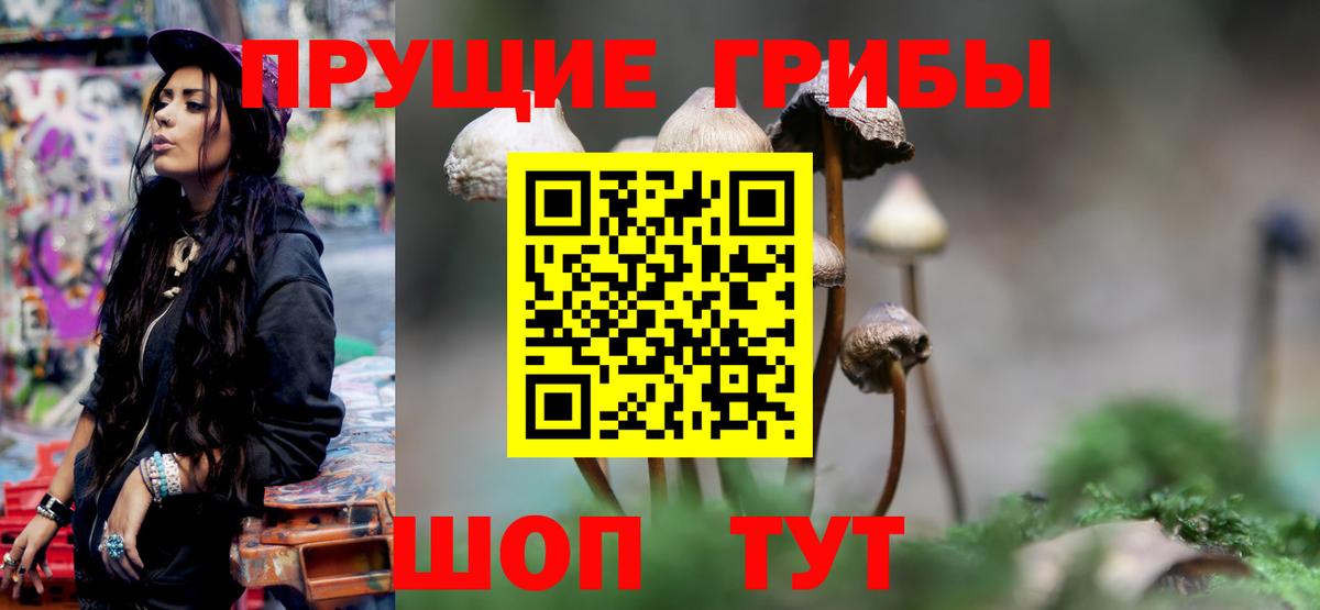 Псилоцибиновые грибы мицелий Конаково